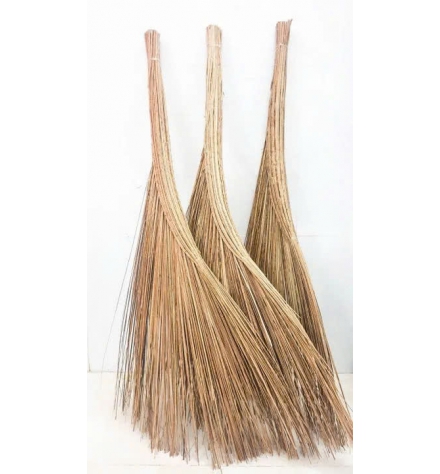 Chổi chà là