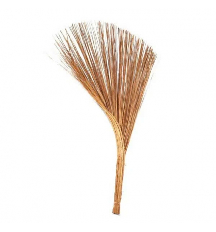 Chổi chà là