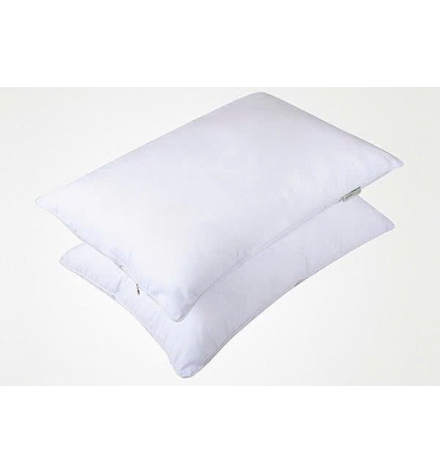 Ruột gối hơi 50x70 cm