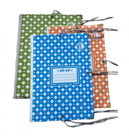 Bìa 3 dây Thảo Linh 15F